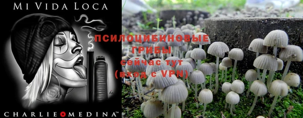 герыч Гусь-Хрустальный