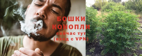 герыч Гусь-Хрустальный