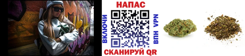 Конопля гибрид  Купить закладки  Тверь 